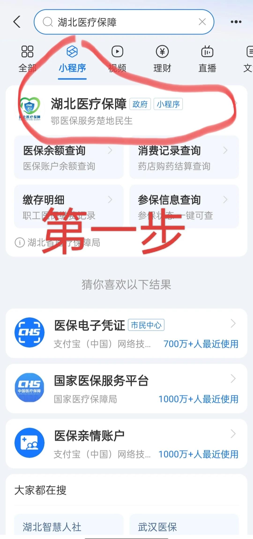 松原医保网上怎么缴费(孩子居民医保网上怎么缴费)